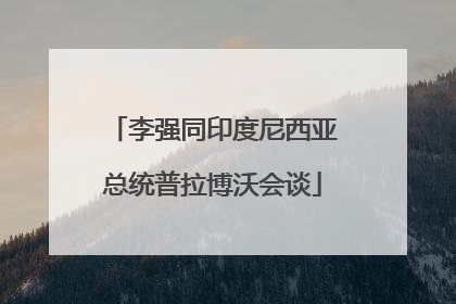 李强同印度尼西亚总统普拉博沃会谈